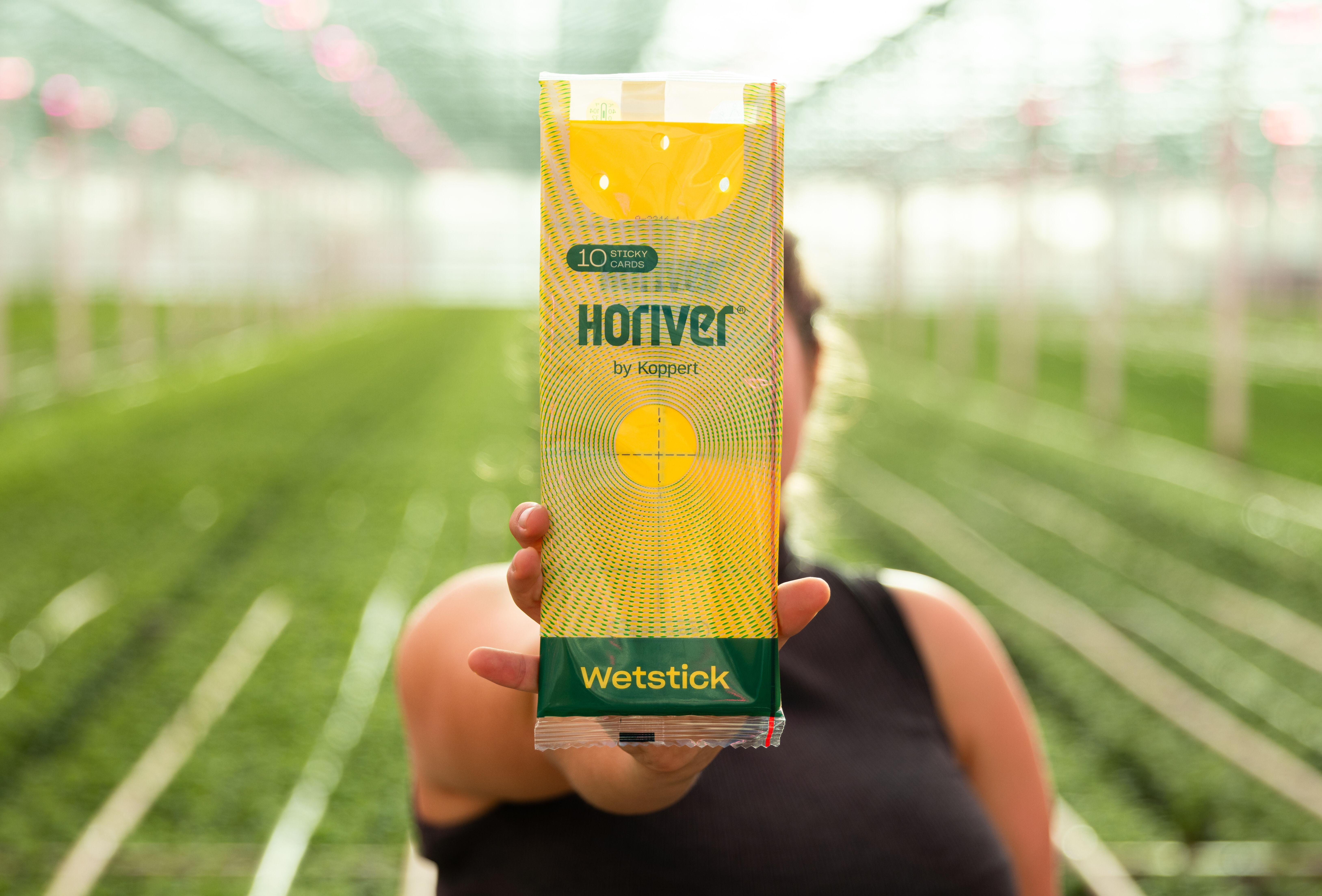 Nueva imagen para las trampas adhesivas Horiver