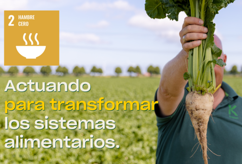 Luchar contra la pérdida y el desperdicio de alimentos: tomar medidas para transformar los sistemas alimentarios