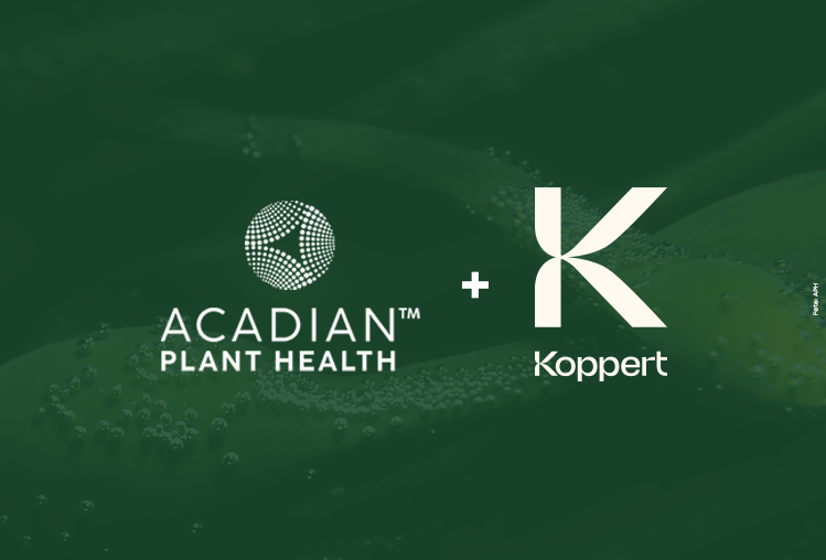 Acadian Plant Health y Koppert amplían su alianza para impulsar la agricultura sostenible