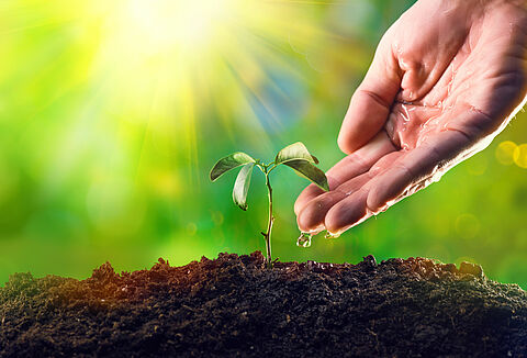 Día de la Tierra: Koppert mejora la salud del planeta