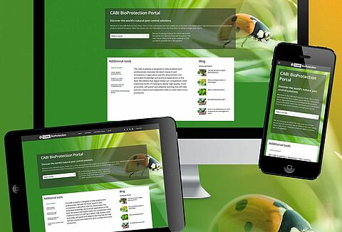 El portal web de bioprotección de cultivos CABI llega a Perú