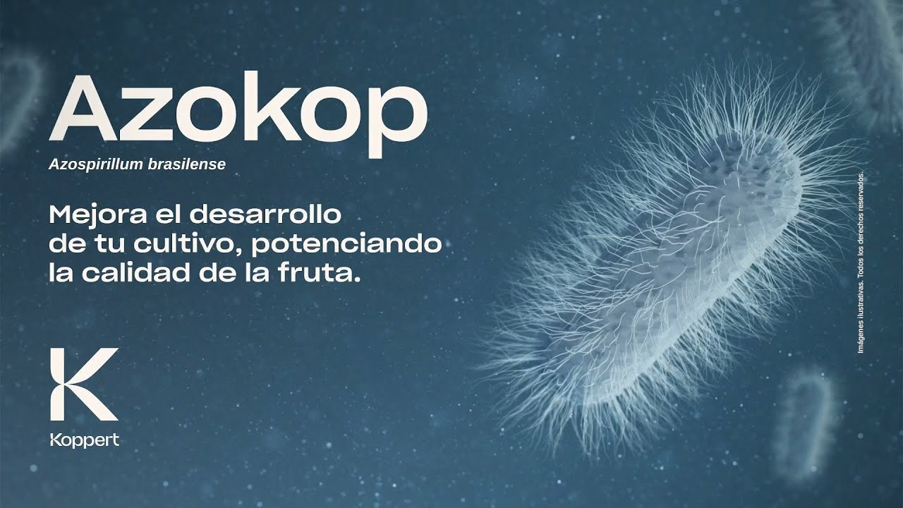 Azokop | Mejora el desarrollo de tu cultivo, potenciando la calidad de la fruta