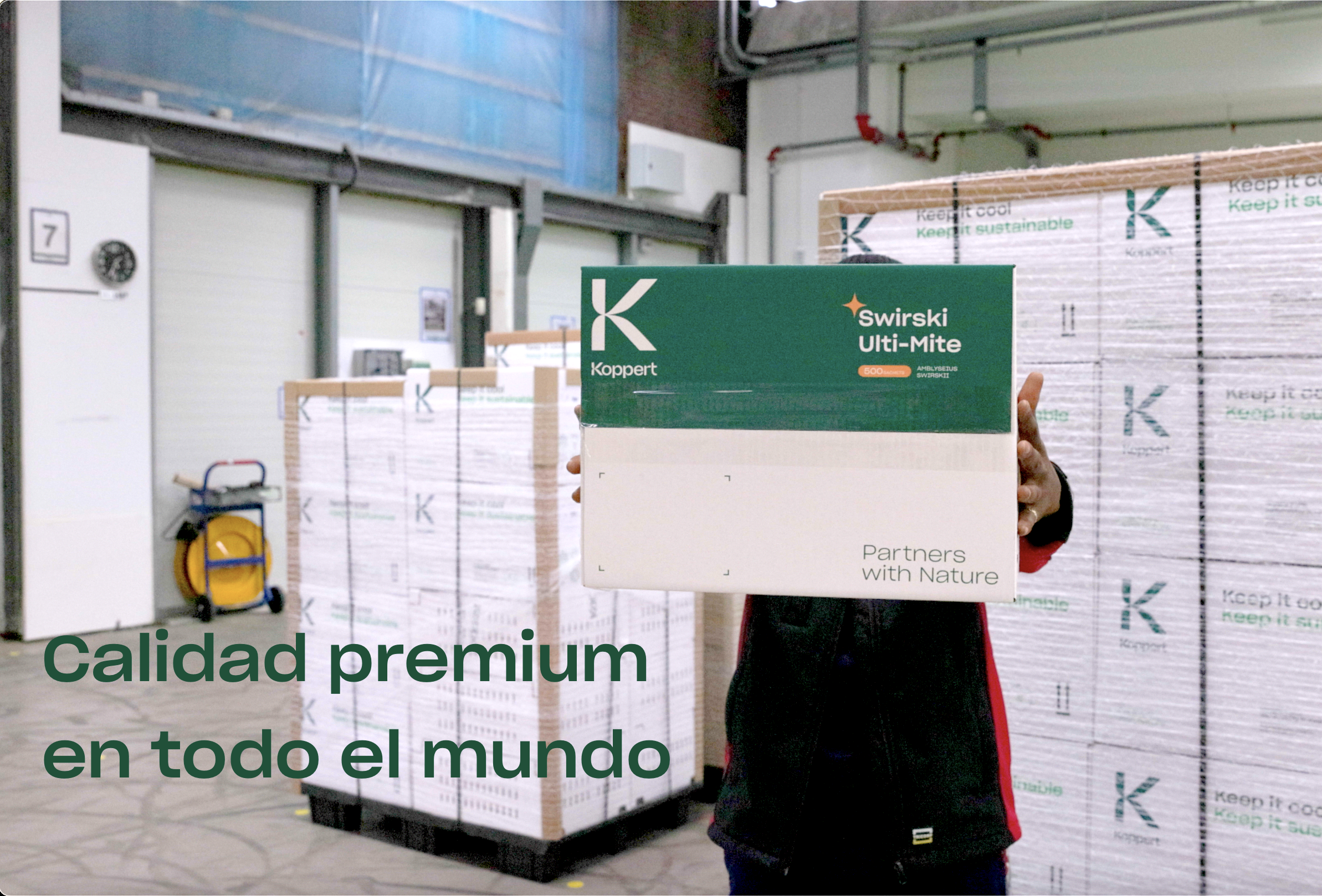 Calidad premium en todo el mundo
