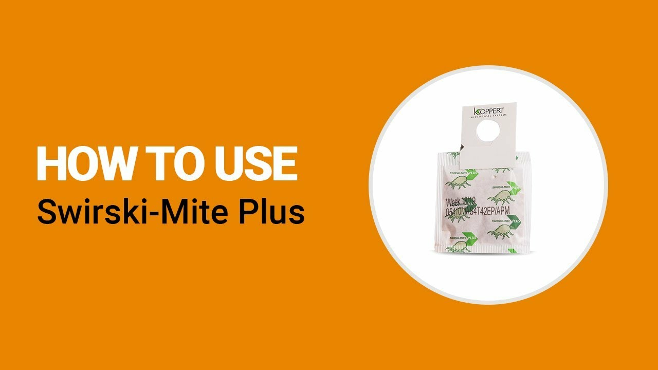How to use Swirski-Mite Plus from Koppert How to use Swirski-Mite Plus from Koppert