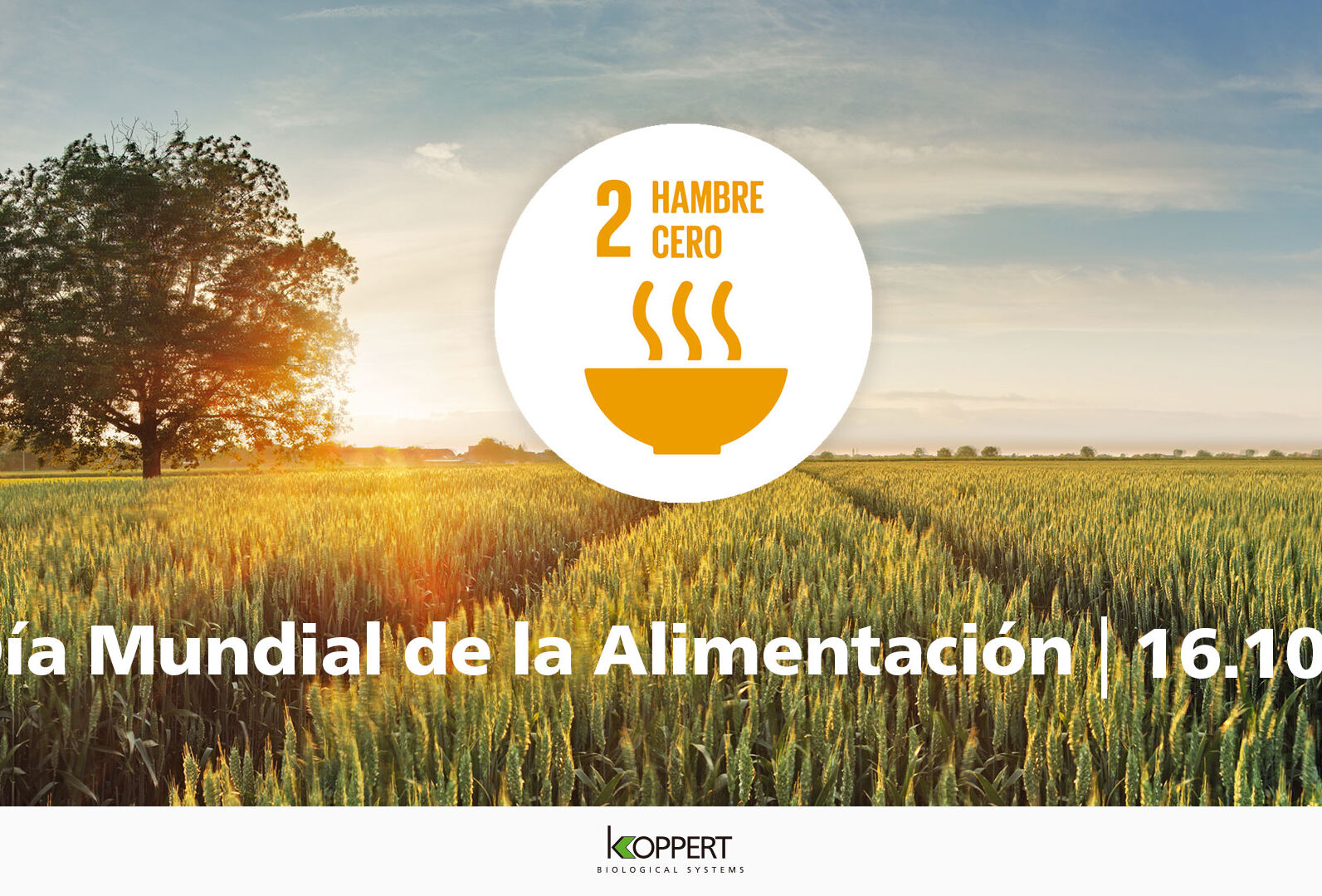 Día Mundial de la Alimentación 2020