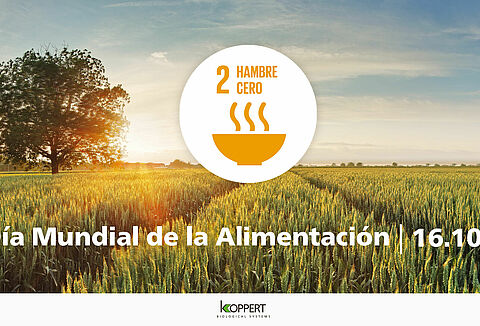 Día Mundial de la Alimentación 2020