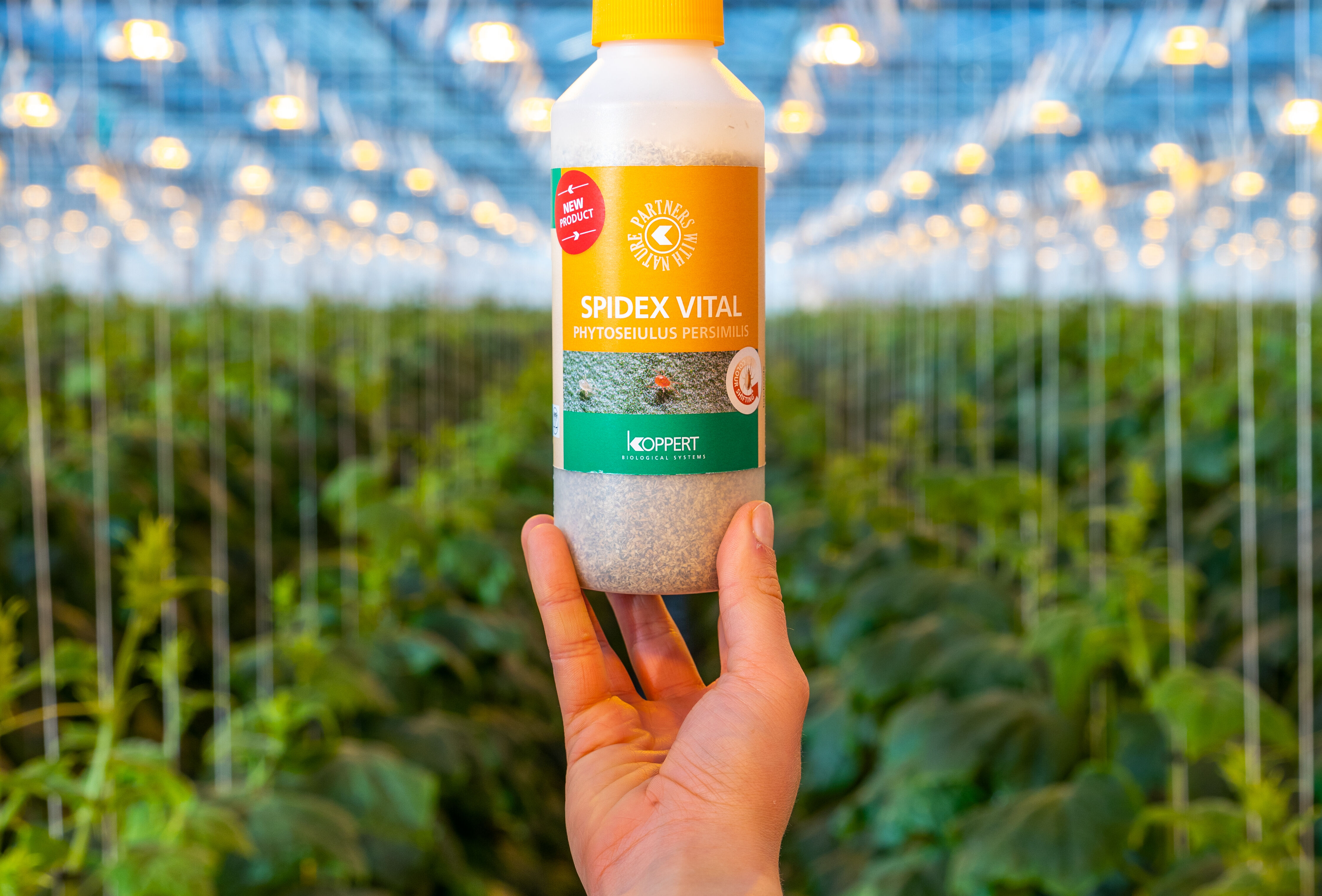 Biocontrol avanzado de la araña roja con Spidex Vital