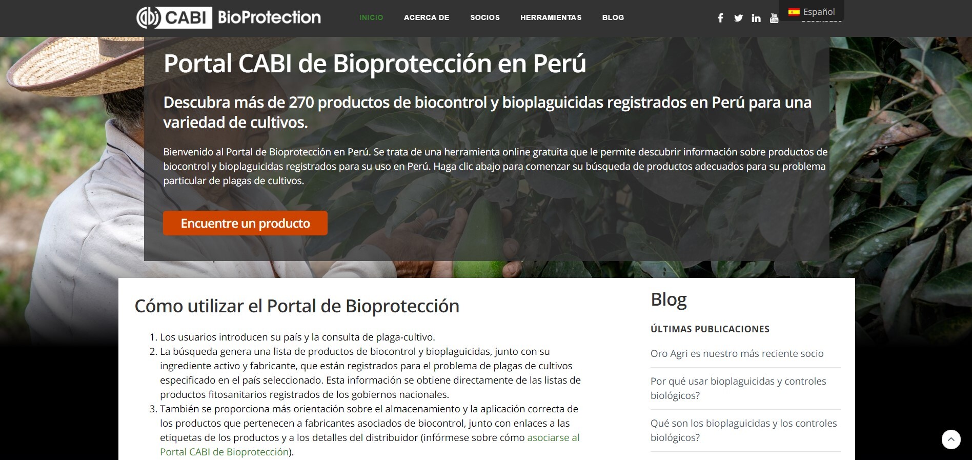 Cabi_Bioprotection_Peru.jpg